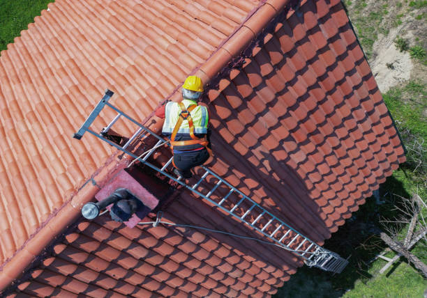 Best Asphalt Shingles Roofing  in Wixom, MI