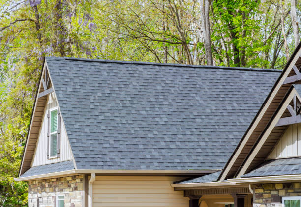 Best Skylight Installation and Repair  in Wixom, MI