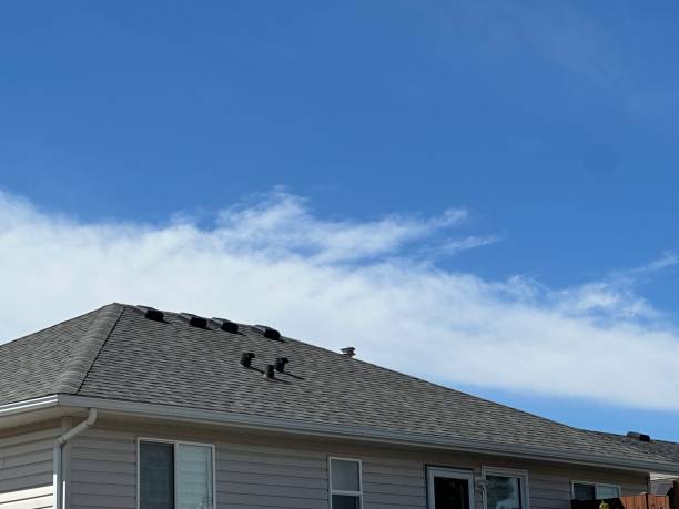 Best Rubber Roofing (EPDM, TPO)  in Wixom, MI